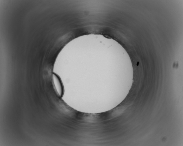 X0000101680288200808071116