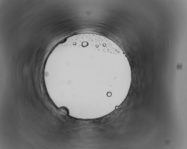 X0000101680289200808071116