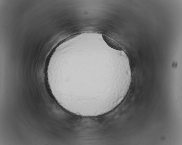 X0000101680290200808071116