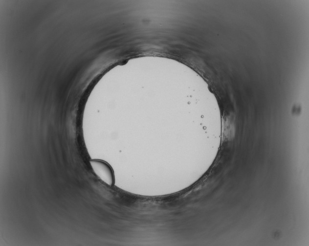 X0000101680291200808071116