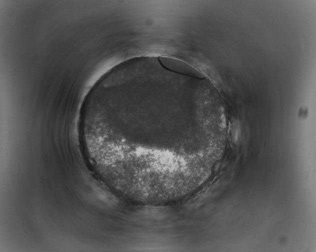 X0000101680292200808071116