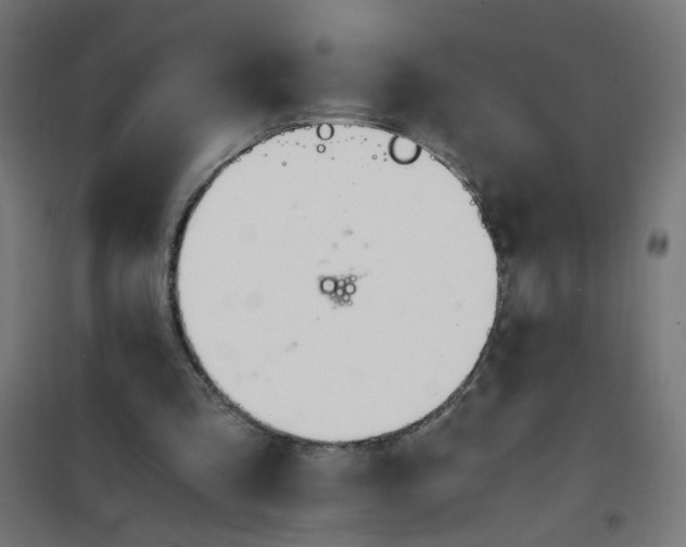 X0000101680293200808071116