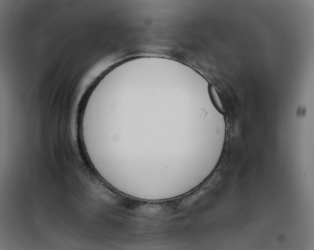 X0000101680294200808071116