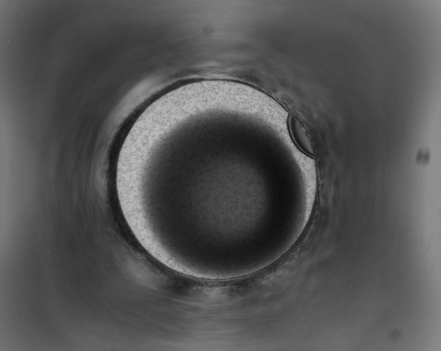 X0000101680295200808071116