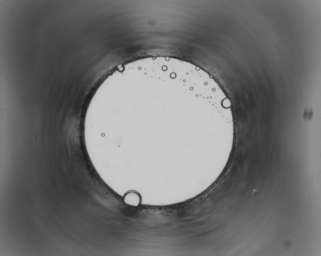 X0000101680297200808071116