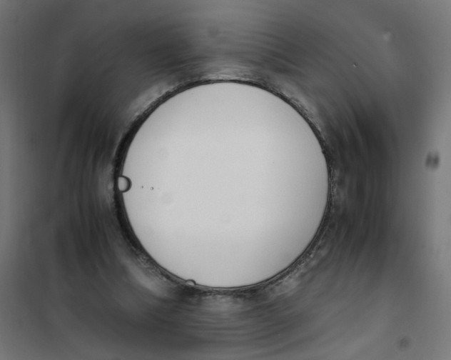 X0000101680298200808071116