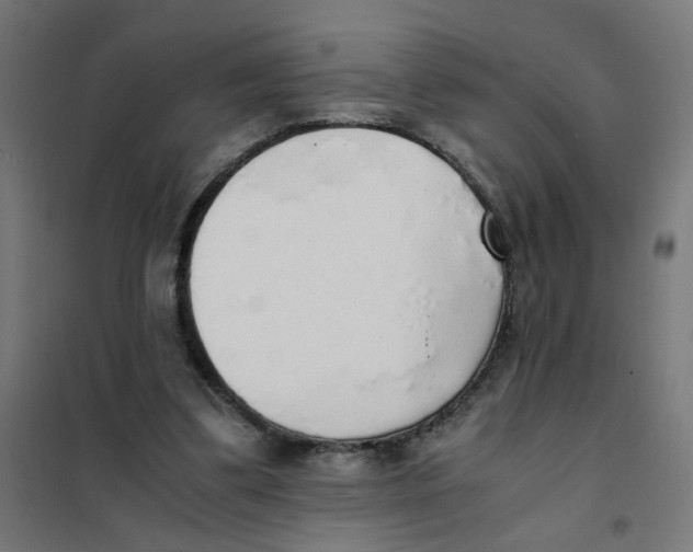 X0000101680299200808071116
