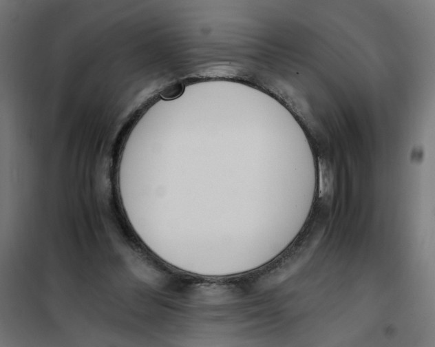 X0000101680300200808071116