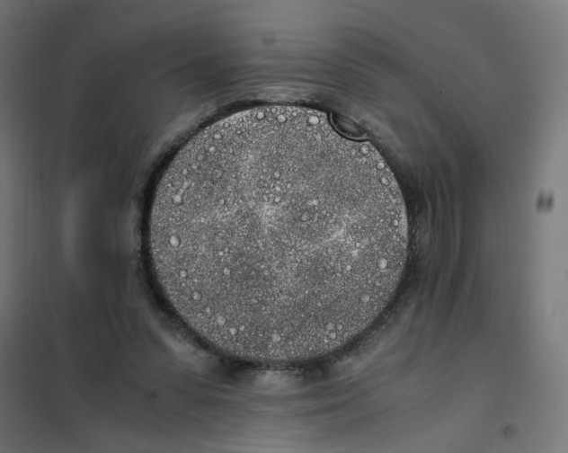 X0000101680303200808071115