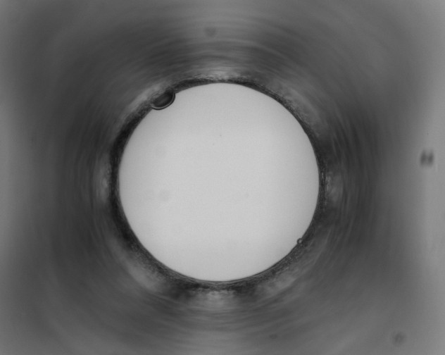 X0000101680304200808071115