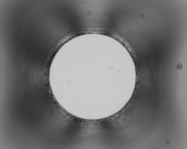 X0000101680305200808071115