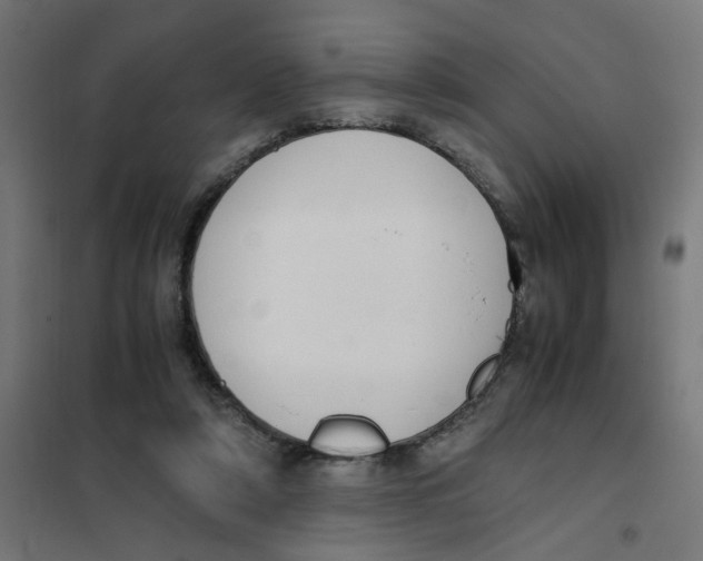 X0000101680306200808071115