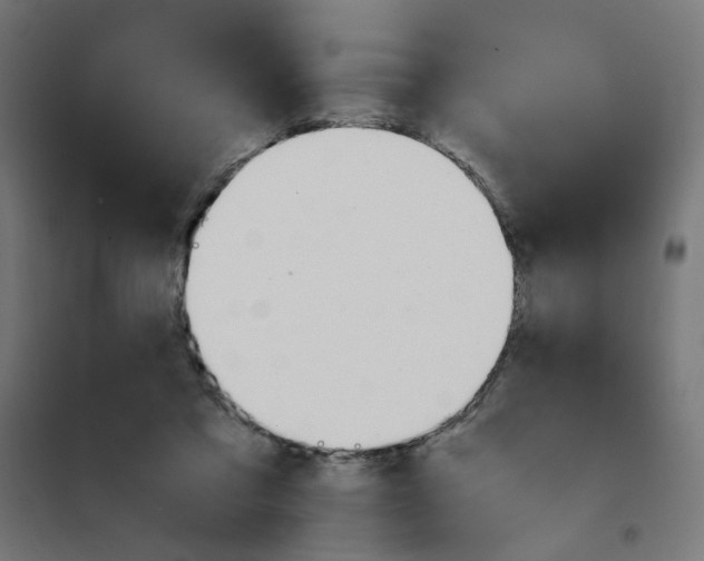 X0000101680309200808071115