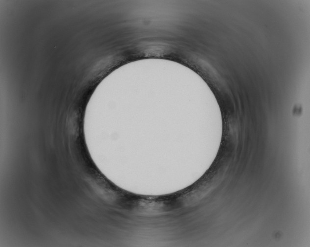 X0000101680311200808071115