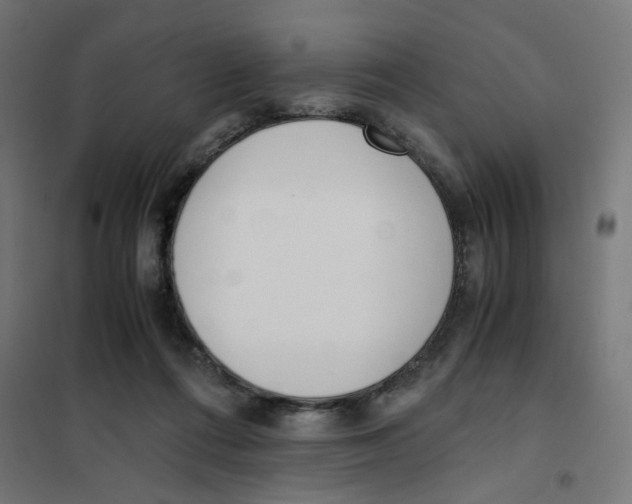 X0000101680312200808071115