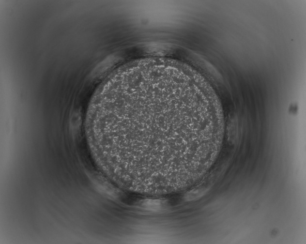 X0000101680314200808071115