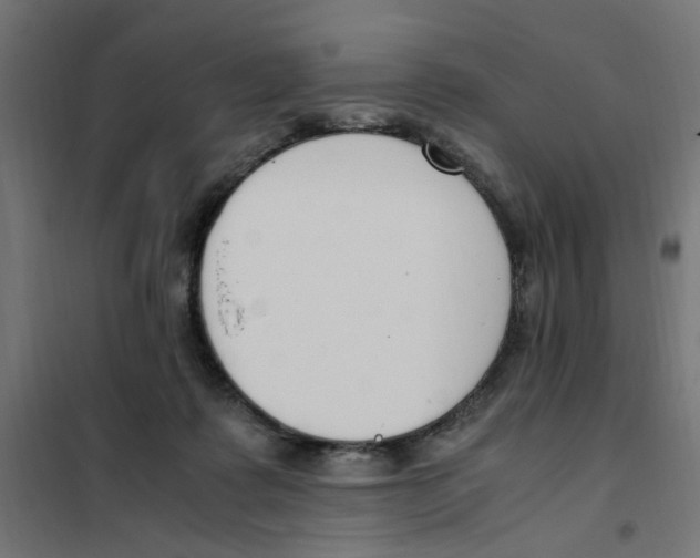 X0000101680315200808071115