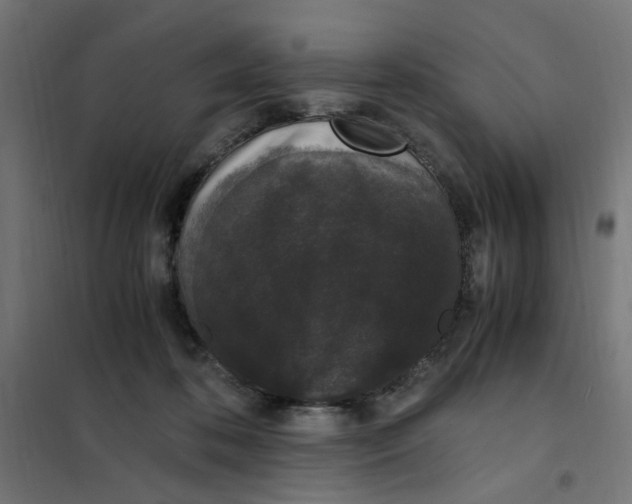 X0000101680316200808071115