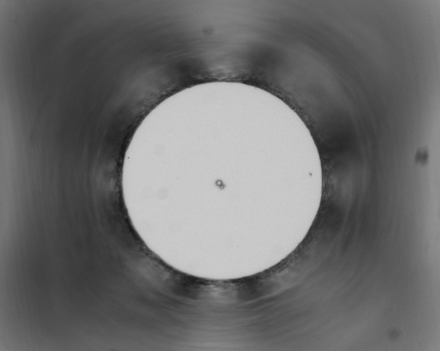 X0000101680317200808071115