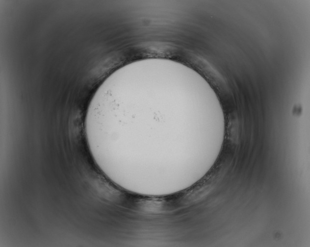X0000101680318200808071115