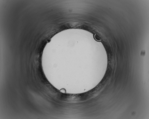 X0000101680319200808071115