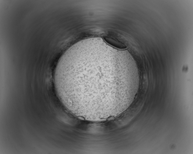 X0000101680320200808071115