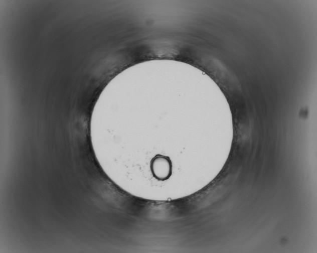 X0000101680321200808071115