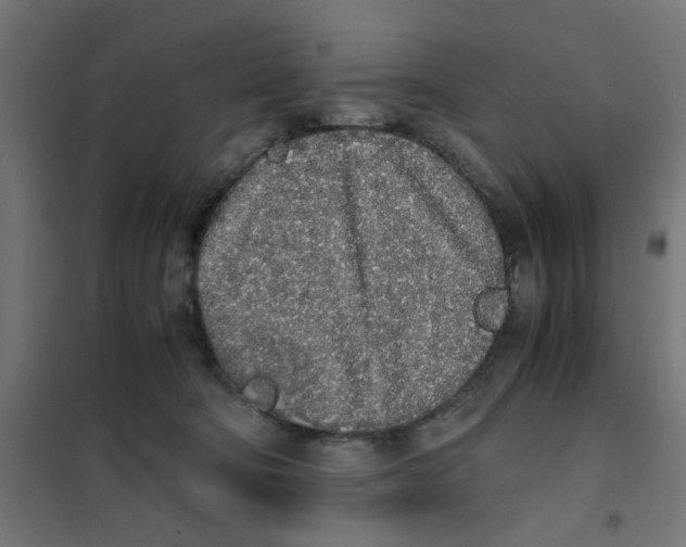 X0000101680322200808071115