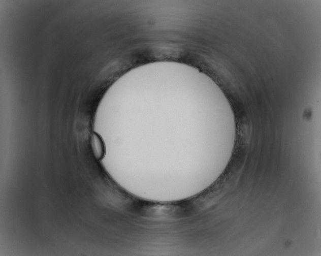 X0000101680323200808071115