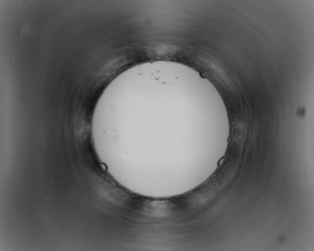 X0000101680324200808071115