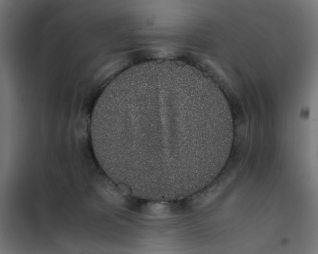 X0000101680325200808071115