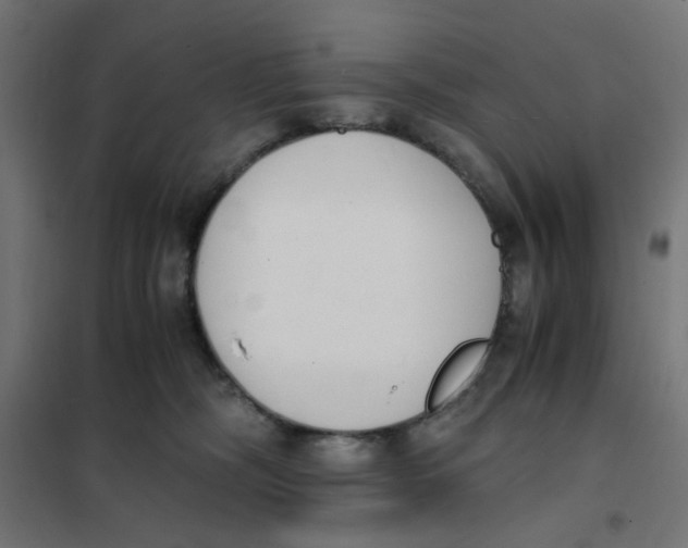 X0000101680326200808071115