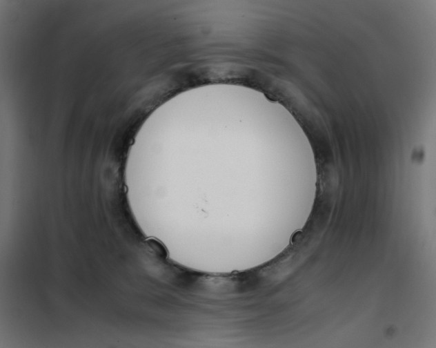 X0000101680327200808071115