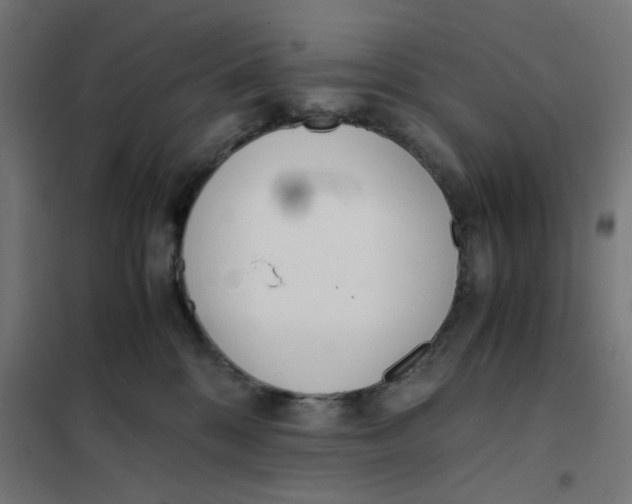 X0000101680328200808071115