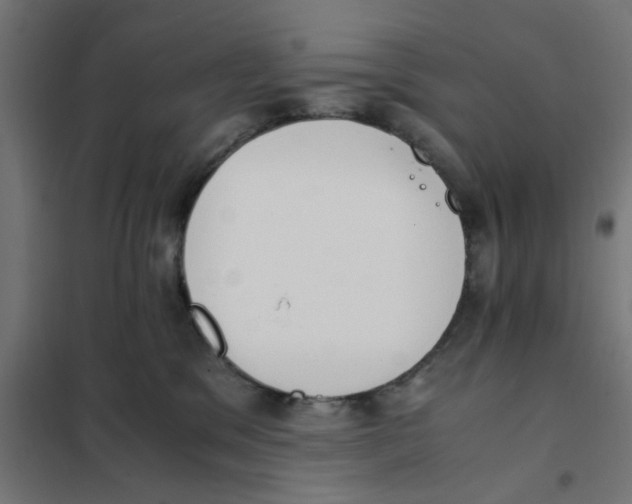 X0000101680329200808071115
