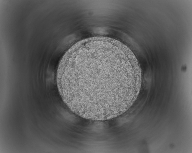 X0000101680330200808071115