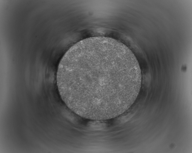 X0000101680331200808071115