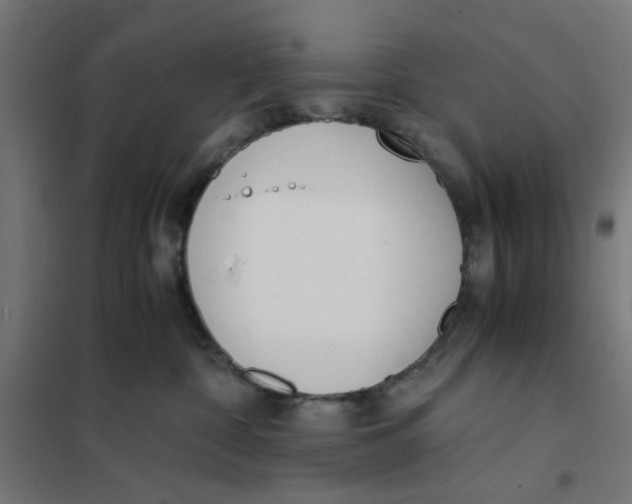X0000101680332200808071115