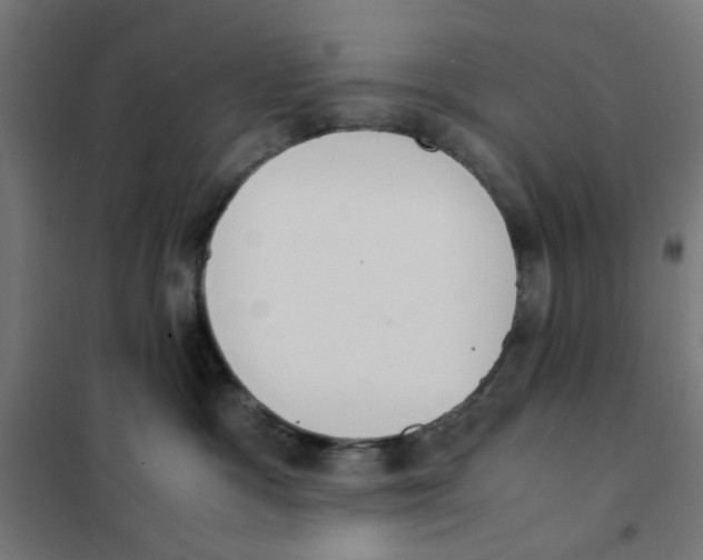 X0000101680333200808071115