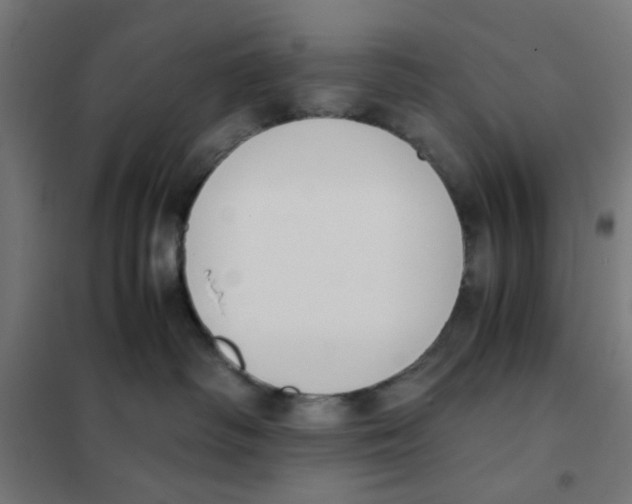 X0000101680334200808071115