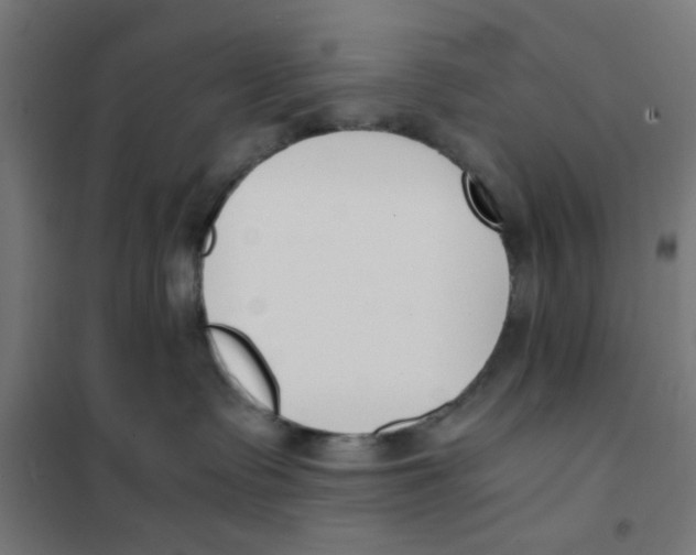 X0000101680335200808071115