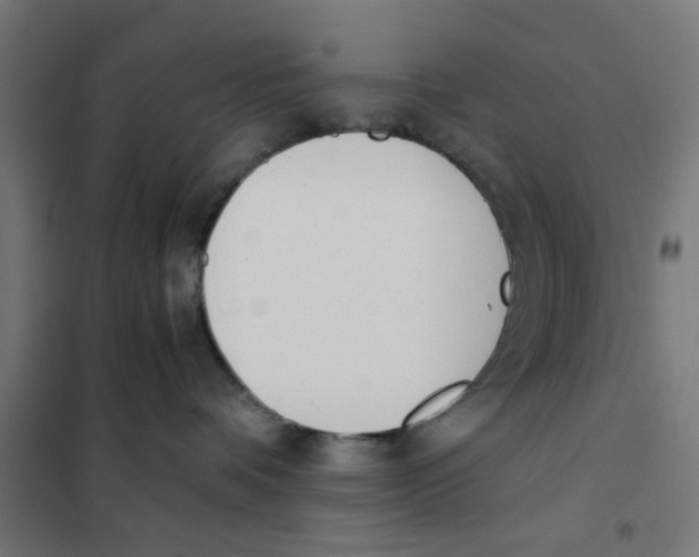 X0000101680336200808071115