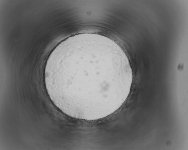 X0000101680337200808071114