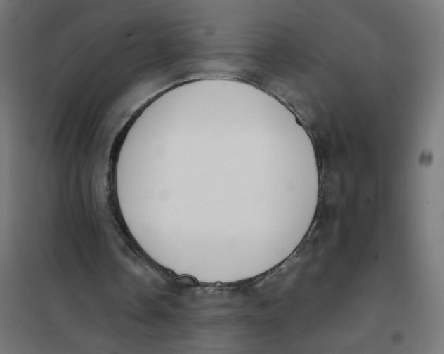 X0000101680338200808071114