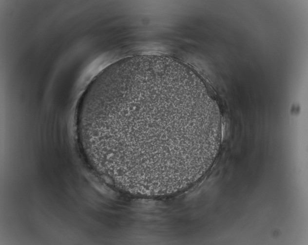 X0000101680339200808071114