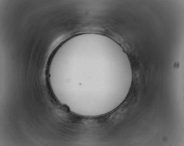 X0000101680340200808071114