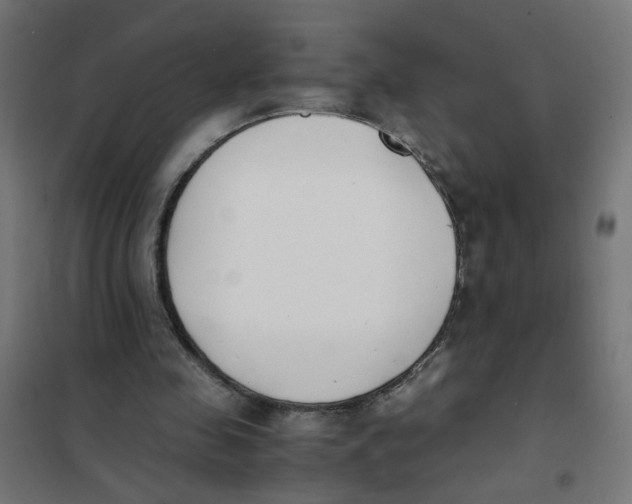 X0000101680341200808071114