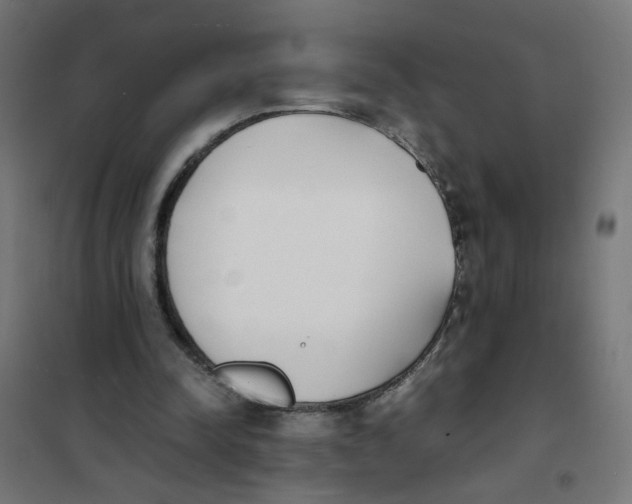 X0000101680342200808071114