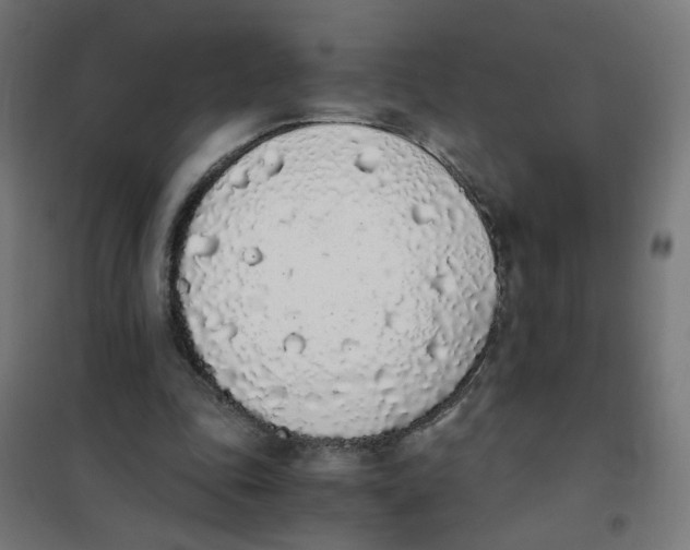 X0000101680343200808071114