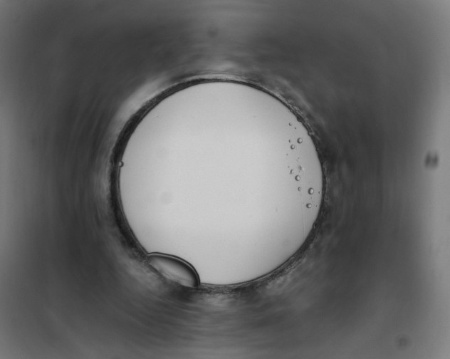 X0000101680344200808071114
